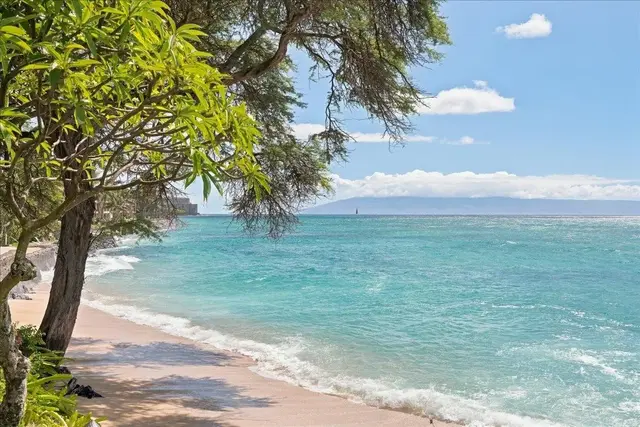 Listing Image for 3959 Lower Honoapillani Rd 709 6 of 34