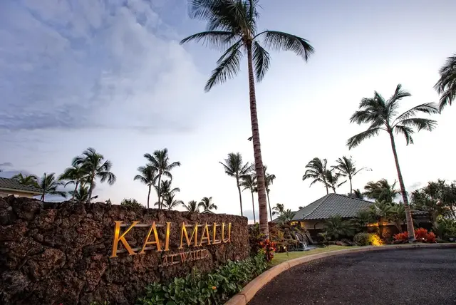 Listing Image for 393 Kai Malu Pl 52b 1 of 50