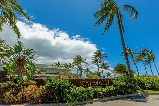 Listing Image for 393 Kai Malu Pl 52b 50 of 50