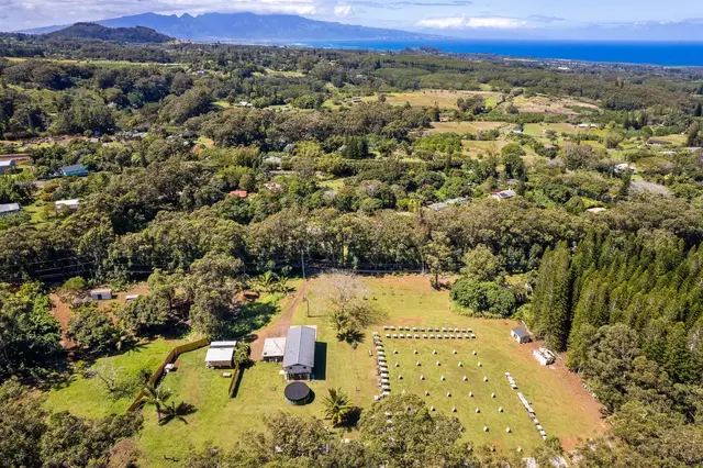 Listing Image for 685 Upper Ulumalu Rd 31 of 34