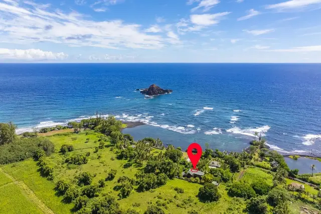 Listing Image for 355 Haneoo Rd 46 of 50