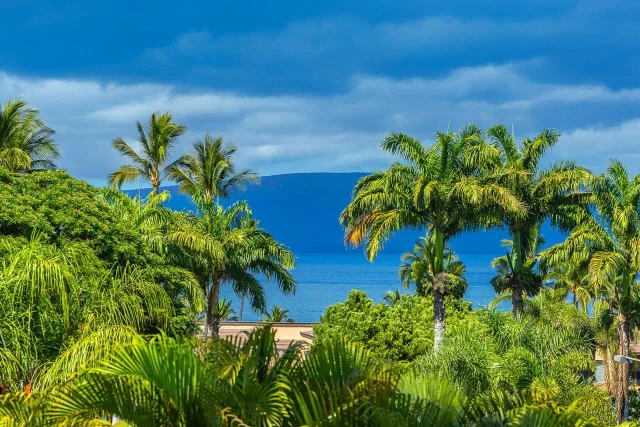 Listing Image for 3200 Wailea Alanui Dr 2302 2 of 42