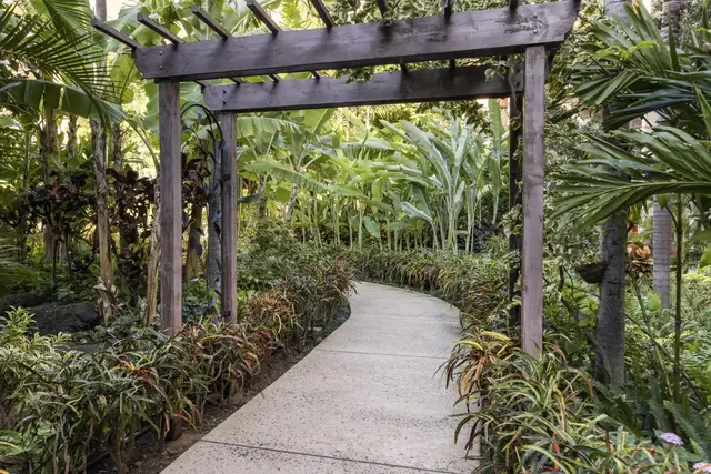Listing Image for 3445 Lower Honoapiilani Rd 337 32 of 40