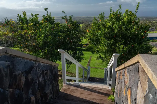 Listing Image for 1630 Olinda Rd 48 of 50