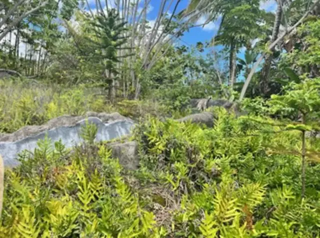 Listing Image for 3737 Kahekili Hwy 3 of 14