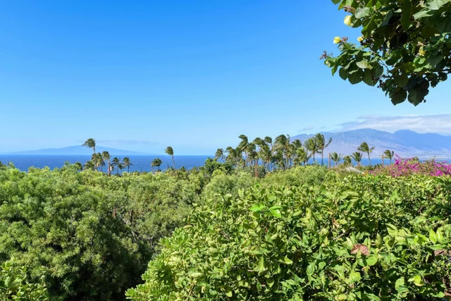 Listing Image for 3220 Waileia Pl 12 of 46