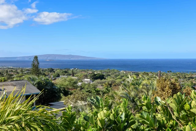 Listing Image for 3220 Waileia Pl 18 of 46