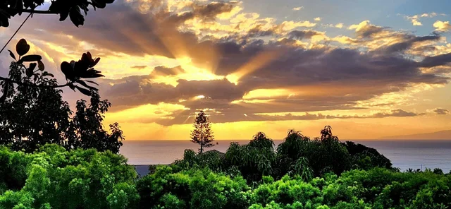 Listing Image for 3220 Waileia Pl 19 of 46