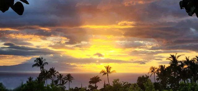 Listing Image for 3220 Waileia Pl 27 of 46