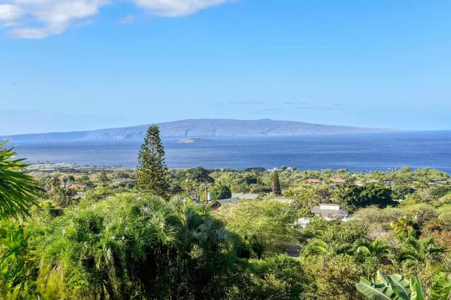 Listing Image for 3220 Waileia Pl 3 of 46