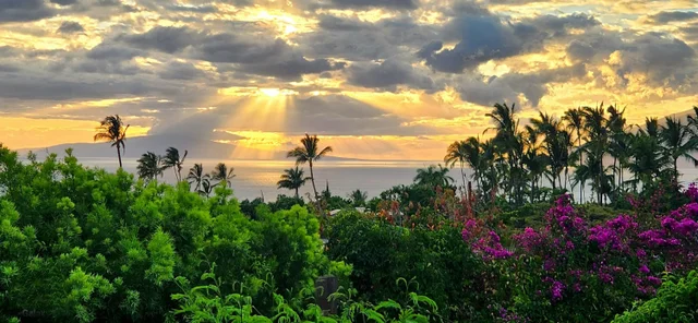 Listing Image for 3220 Waileia Pl 33 of 46