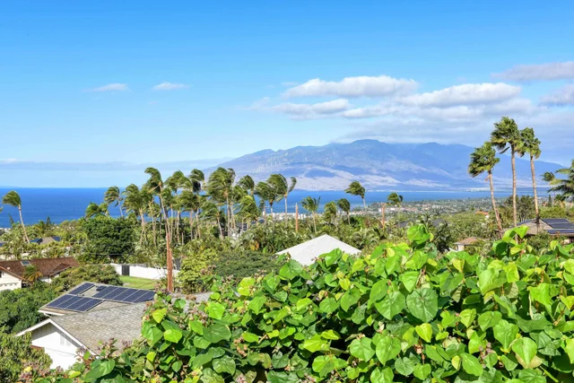 Listing Image for 3220 Waileia Pl 8 of 46