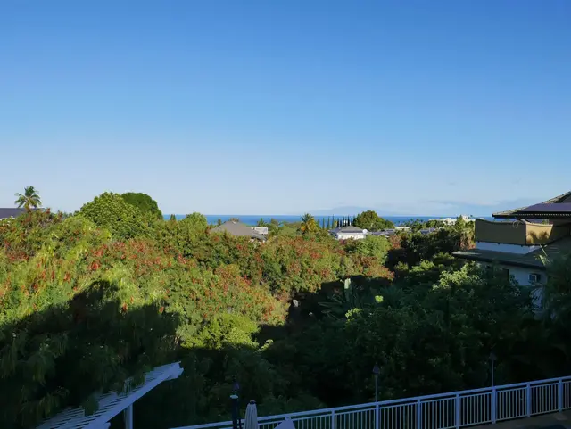 Listing Image for 2656 Moolio Pl 26 of 50