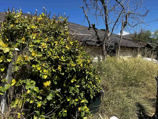 Listing Image for 641 Linekona Pl 7 of 7