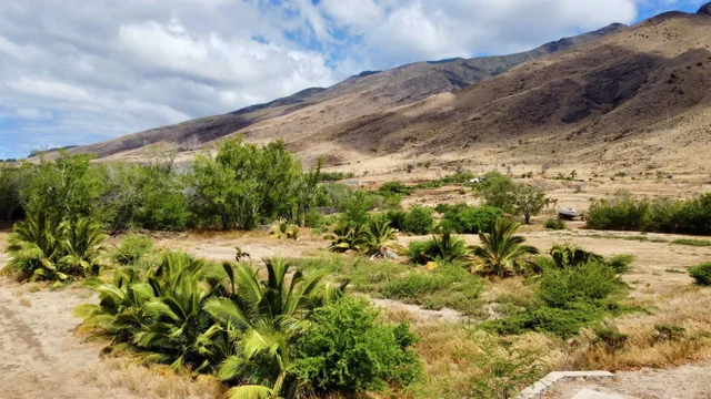 Listing Image for Ehehene St Lot 3 13 of 13