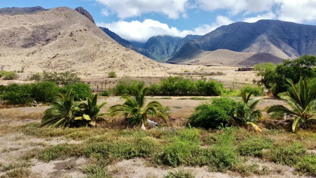 Listing Image for Ehehene St Lot 3 3 of 13