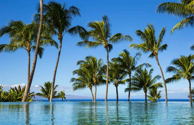 Listing Image for 27 Kaulele Pl 51 Ph 1 13 of 22