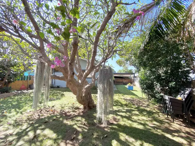 Listing Image for 198 Namauu Pl 22 of 22