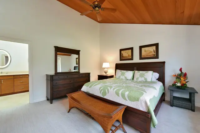 Listing Image for 50 Puu Anoano St 3604 22 of 41