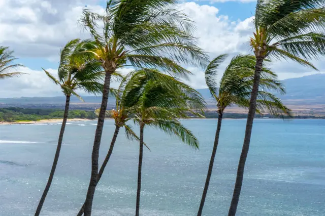 Listing Image for 100 Hauoli St 405 30 of 38