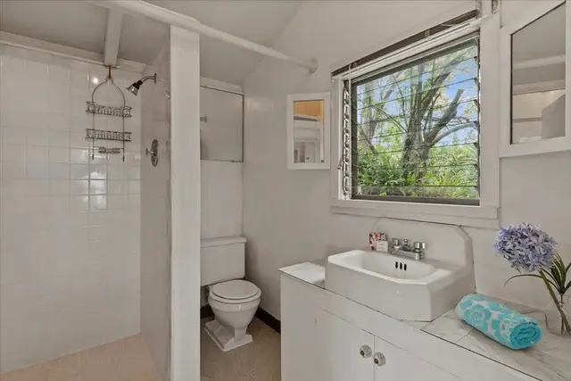 Listing Image for 1524 Lower Kimo Dr 29 of 31