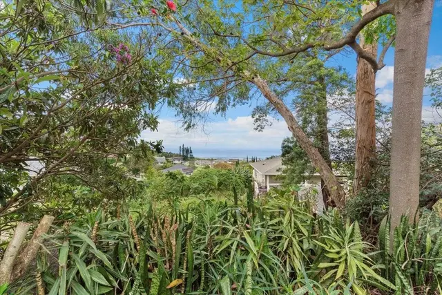 Listing Image for 1524 Lower Kimo Dr 31 of 31