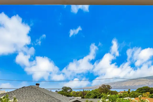 Listing Image for 356 Hoalike St 40 of 48