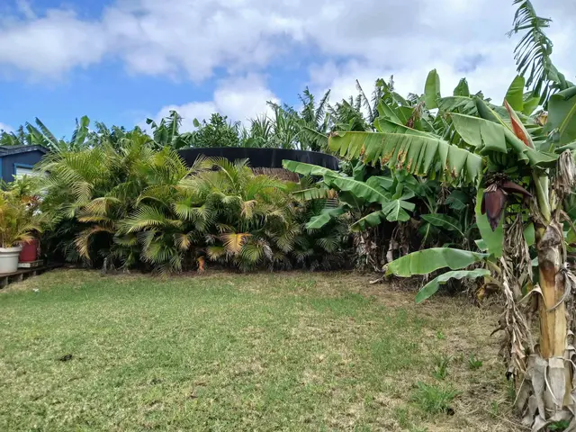 Listing Image for 845 Puapana Pl 5 of 6