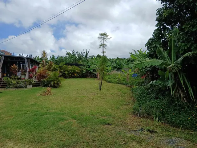 Listing Image for 845 Puapana Pl 6 of 6