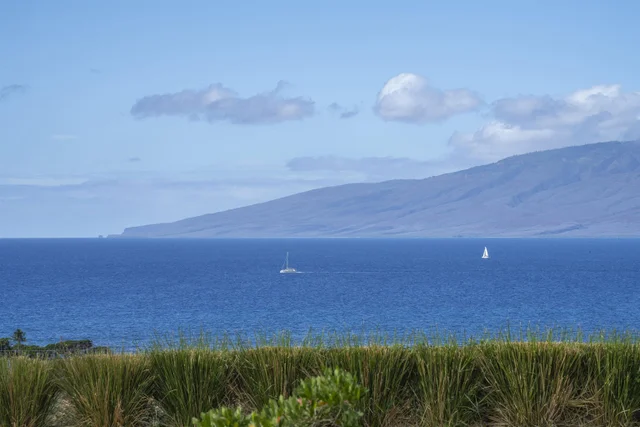 Listing Image for 153 Haniu St B 31 of 41