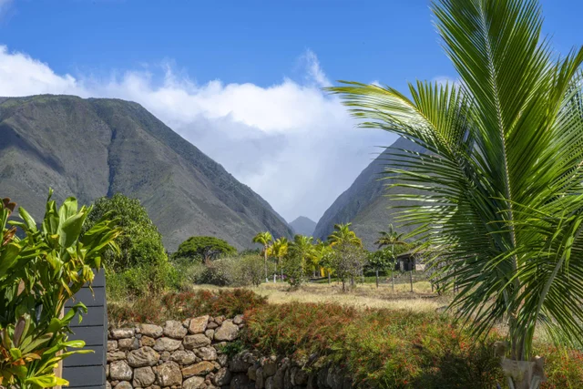 Listing Image for 153 Haniu St B 38 of 41