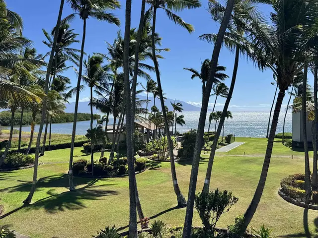 Listing Image for 7146 Kamehameha V Hwy C 315 18 of 19