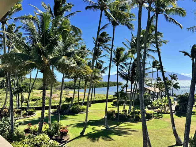 Listing Image for 7146 Kamehameha V Hwy C 315 19 of 19