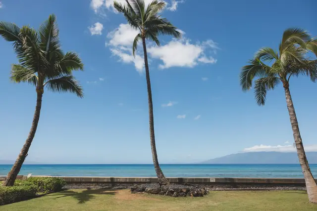 Listing Image for 3741 Lower Honoapiilani Rd 112 22 of 28