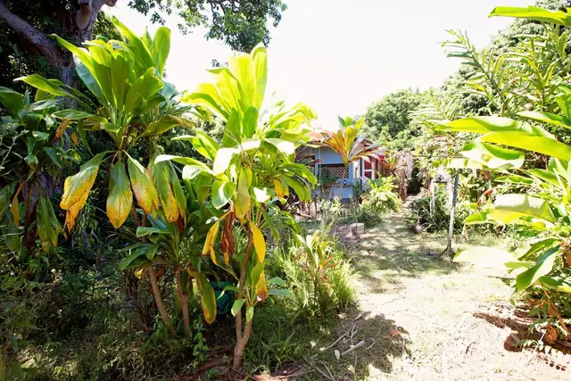 Listing Image for 1042 Makawao Ave 3 of 6