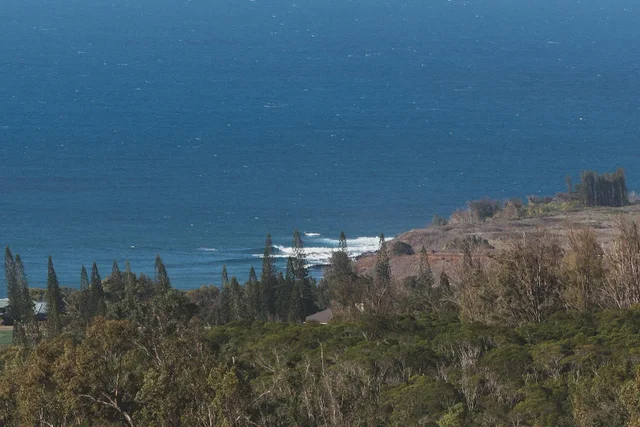 Listing Image for 715 Laulama Pl 48 of 48