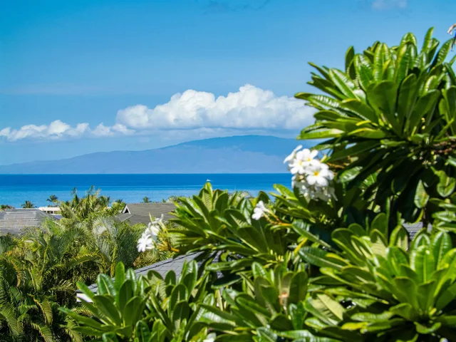 Listing Image for 94 Laukahi St 5 of 50