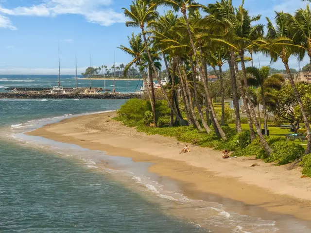 Listing Image for 475 Front St 522 7 of 30