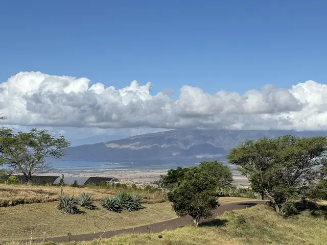 Listing Image for Hoomaikai Pl Lot 7 20 of 28