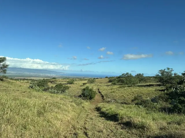Listing Image for Hoomaikai Pl Lot 7 22 of 28