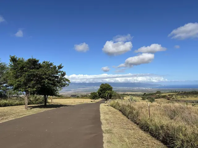 Listing Image for Hoomaikai Pl Lot 7 24 of 30