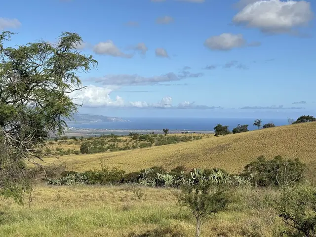 Listing Image for Hoomaikai Pl Lot 7 23 of 28