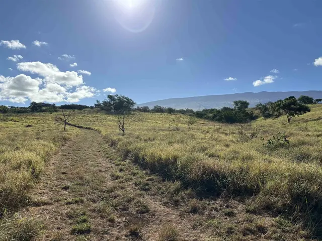Listing Image for Hoomaikai Pl Lot 7 29 of 30