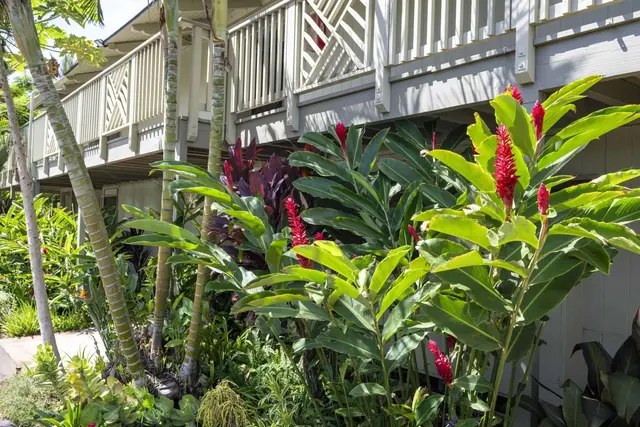 Listing Image for 715 S Kihei Rd C227 19 of 20