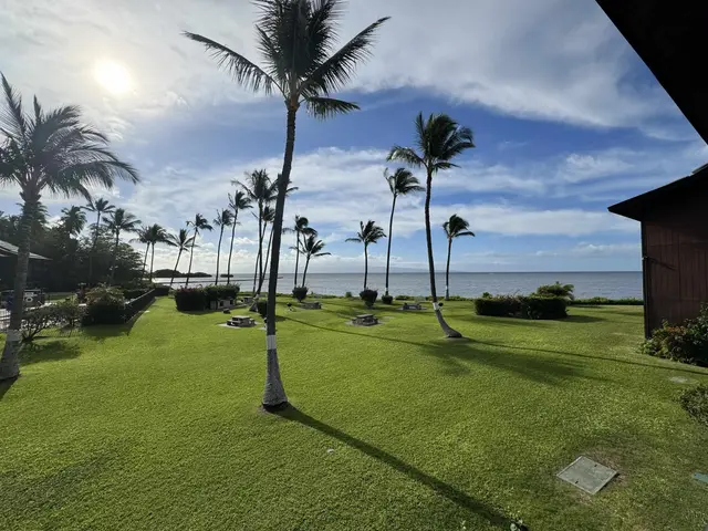 Listing Image for 1000 Kamehameha V Hwy A209 18 of 18