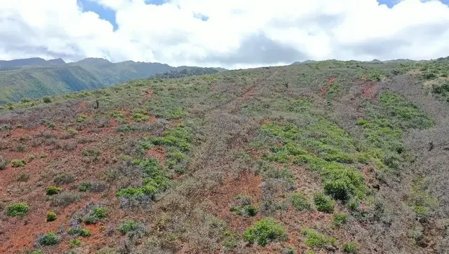 Listing Image for 0 Wailau Valley Rd Lots 3 And 4 11 of 17