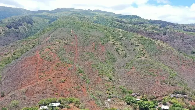 Listing Image for 0 Wailau Valley Rd Lots 3 And 4 12 of 17
