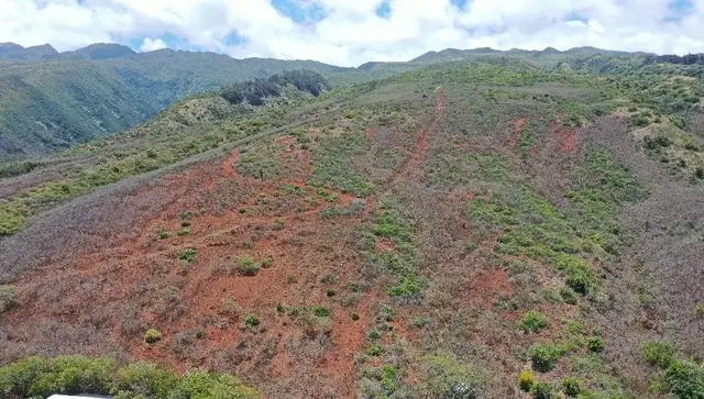 Listing Image for 0 Wailau Valley Rd Lots 3 And 4 14 of 17