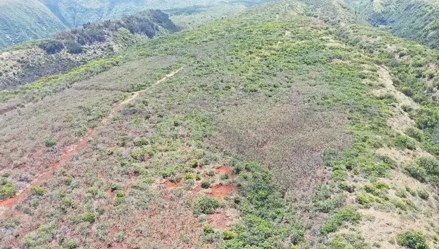 Listing Image for 0 Wailau Valley Rd Lots 3 And 4 16 of 17