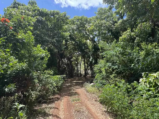 Listing Image for 0 Wailau Valley Rd Lots 3 And 4 4 of 17